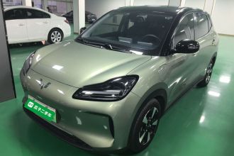 五菱汽车 五菱缤果PLUS 2024款 510km 旗舰版 四座版