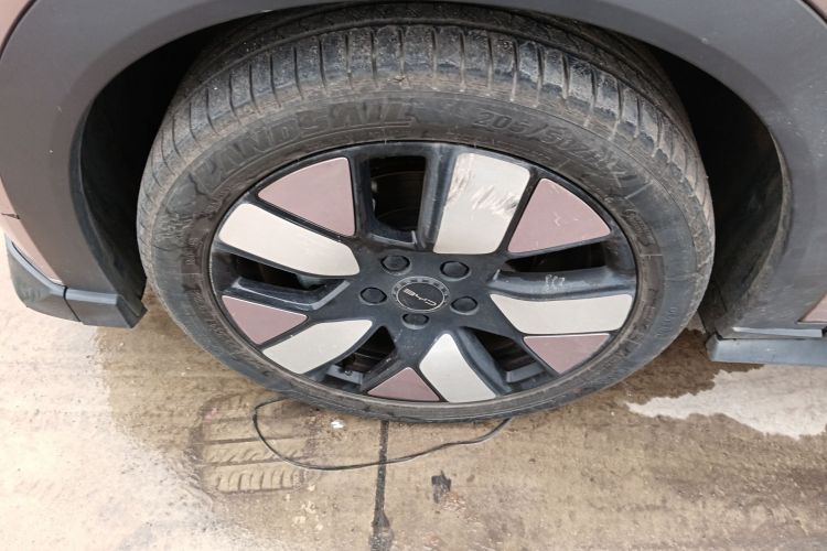 比亚迪 海豚 2021款 401km 骑士版车身外观6007