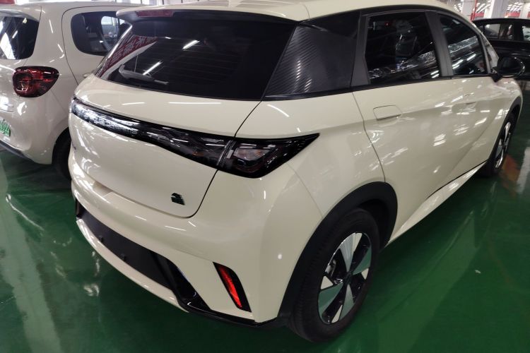 比亚迪 海豚 2023款 420km 自由版车身外观7