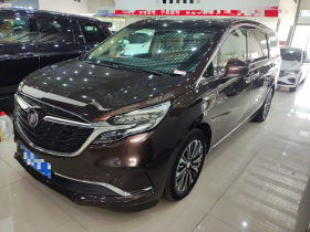 别克GL8 2020款 ES陆尊 653T 旗舰型