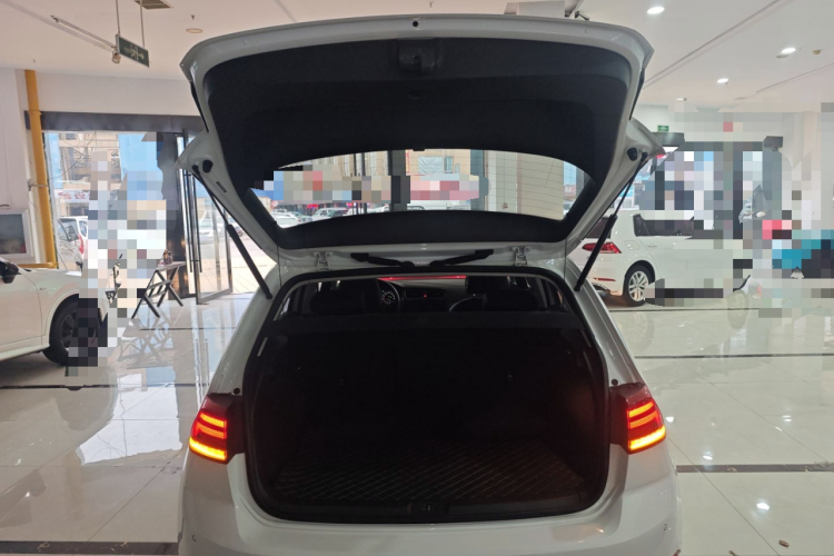 大众 高尔夫 2020款 200TSI DSG舒适进取版机舱底盘23