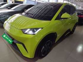 比亚迪 海鸥 2024款 荣耀版 405km 飞翔版