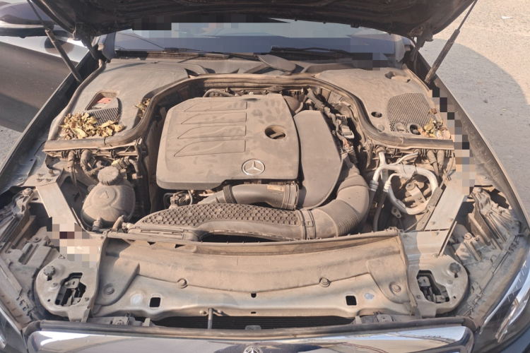 奔驰E级 2020款 改款 E 300 L 殊享版局部细节24