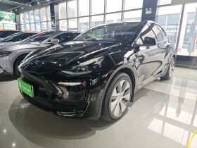 特斯拉 Model Y 2022款 后轮驱动版
