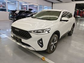 哈弗F7x 2019款 1.5T 两驱极智潮玩版