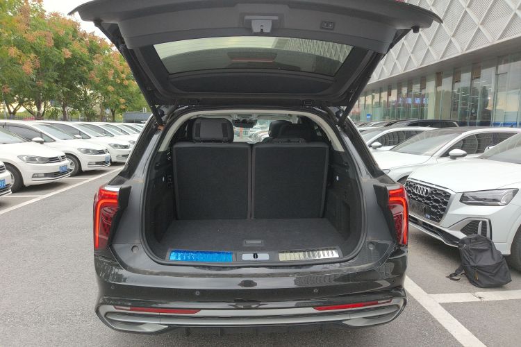 红旗E-HS9 2021款 460km 旗享版 六座局部细节23