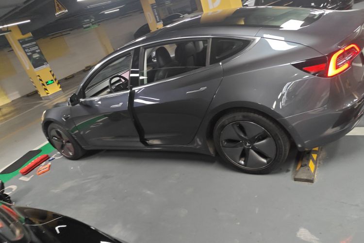 特斯拉 Model 3(进口) 2019款 长续航后驱版车身外观4