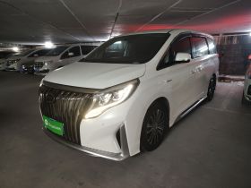 广汽传祺 传祺M8 2021款 大师系列 390T 尊贵版