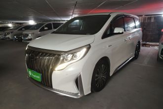 广汽传祺 传祺M8 2021款 大师系列 390T 尊贵版