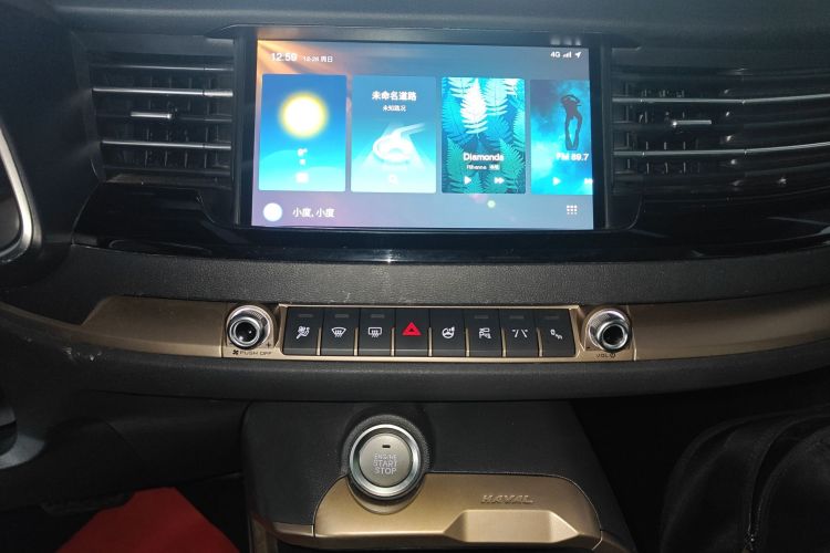 哈弗H6 2020款 2.0GDIT 自动铂金豪华版局部细节16