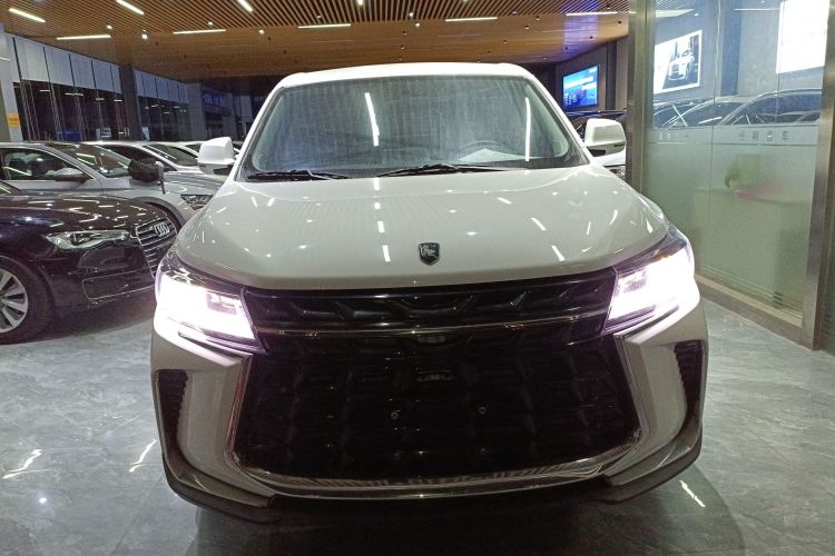 东风风行 风行T5 2024款 盛世款 1.6L 手动寻梦版 五座车身外观6001