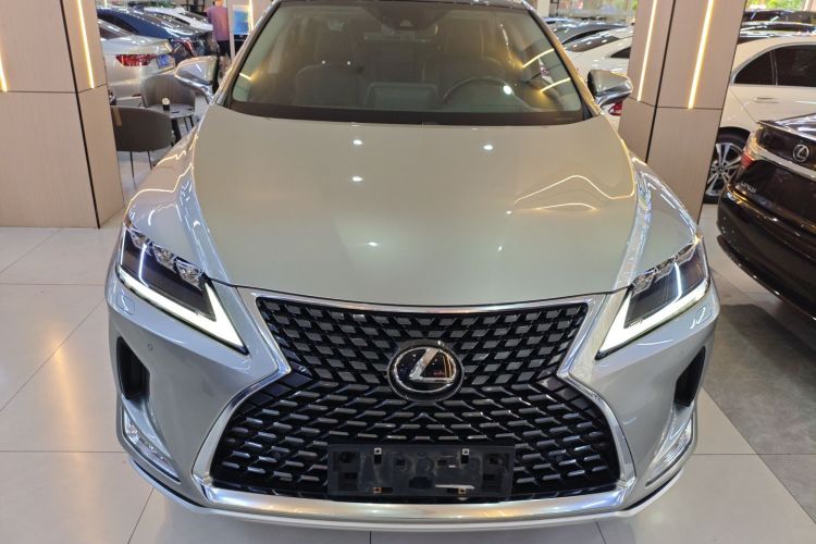 雷克萨斯RX 2020款 改款 300 四驱典雅版车身外观6001