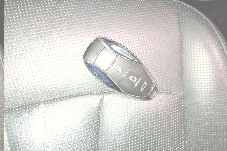 红旗HQ9 PHEV 2024款 2.0T 四驱豪华版中控内饰11