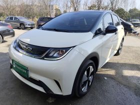 比亚迪 海豚 2023款 420km 时尚版