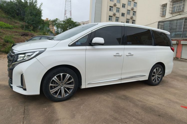 广汽传祺 传祺M8 2020款 领航款 390T 尊贵版车身外观6003