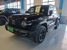 坦克300 2024款 2.0T 征服者