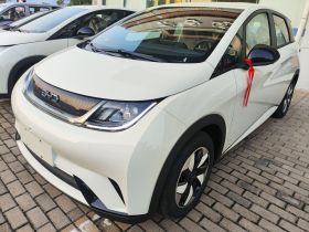 比亚迪 海豚 2025款 420km 自由版