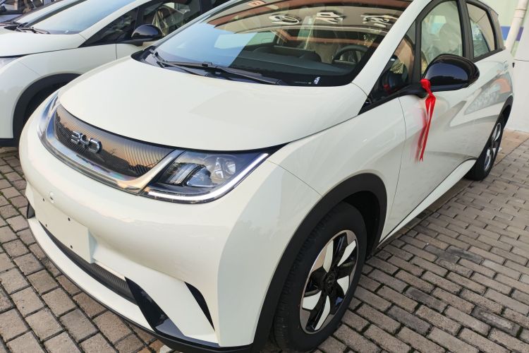 比亚迪 海豚 2025款 420km 自由版车身外观1