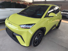 比亚迪 海鸥 2023款 自由版