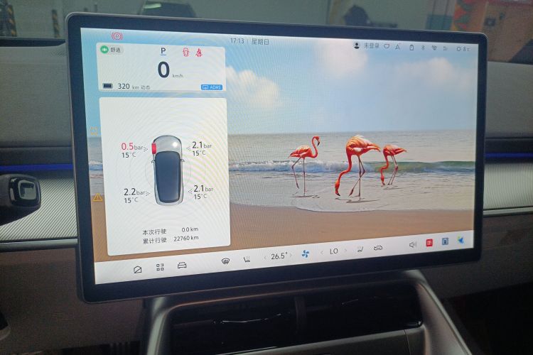 ARCFOX极狐 极狐 阿尔法S5 2024款 560MAX 185kW局部细节14