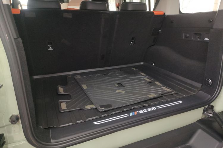 坦克300 2023款 2.0T 铁骑02局部细节23