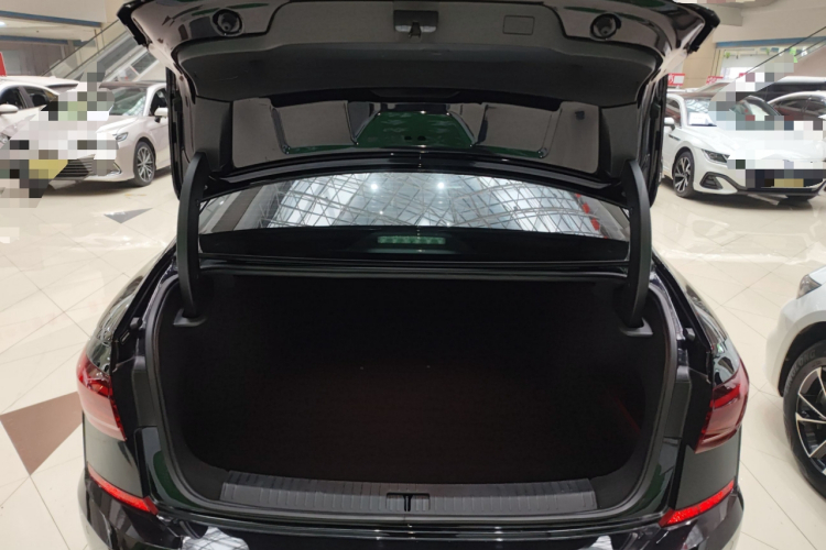 大众 帕萨特 2024款 380TSI 星空精英版局部细节23