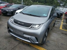 比亚迪 海豚 2023款 420km 时尚版