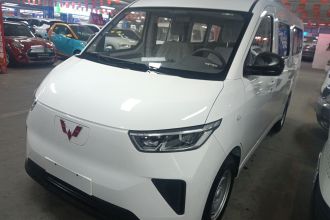 五菱汽车 五菱扬光 2024款 300KM 舒适型客车版 75kW
