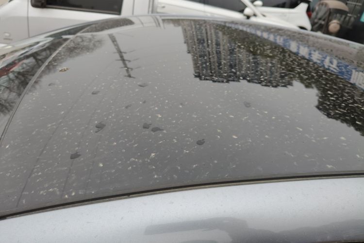 比亚迪 海豚 2021款 405km 时尚版局部细节57