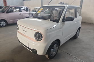 吉利银河 2024款 熊猫mini 200km 耐力熊