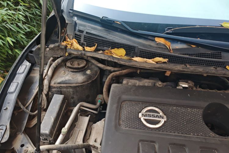 日产 轩逸 2016款 1.6XV CVT智享版局部细节9006