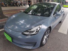 特斯拉 Model 3(进口) 2019款 Performance高性能全轮驱动版