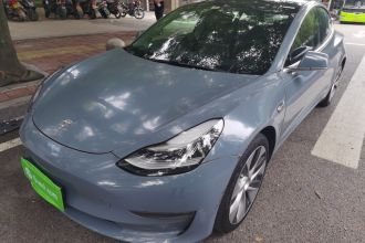 特斯拉 Model 3(进口) 2019款 Performance高性能全轮驱动版