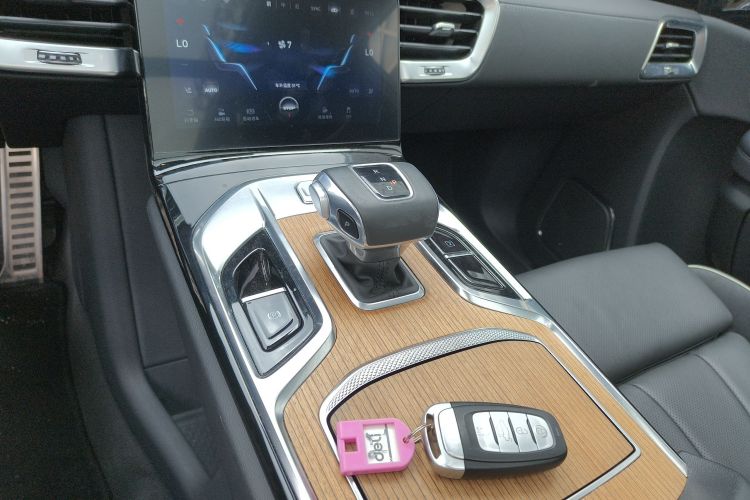 红旗E-HS9 2021款 460km 旗享版 六座局部细节18