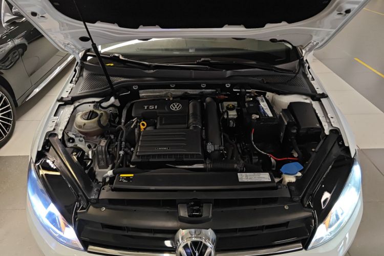 大众 高尔夫 2017款 230TSI 自动舒适百万辆纪念版局部细节24