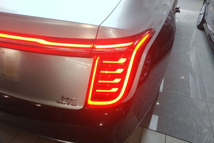 红旗H9 2020款 3.0T 智联旗领四座版车身外观9