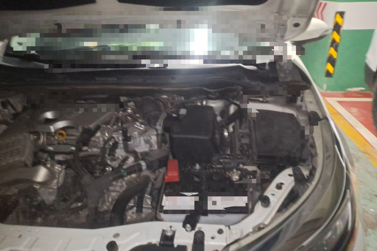 丰田 雷凌 2017款 改款 185T CVT精英版 国VI局部细节9007