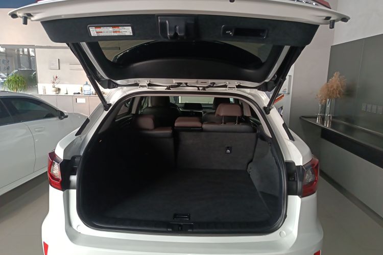 雷克萨斯RX 2016款 300 两驱舒适版 国V机舱底盘23