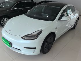 特斯拉 Model 3 2020款 改款 长续航后轮驱动版