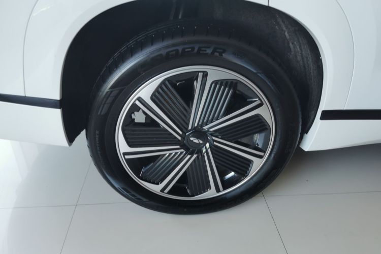 奇瑞 风云T10 2024款 210 奢享版车身外观6008