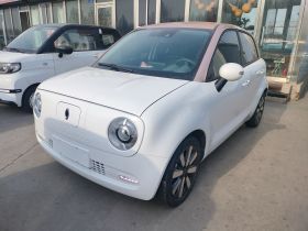 欧拉黑猫 2019款 351km 女神版