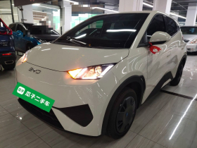 比亚迪 海鸥 2025款 智驾版 305km 活力版