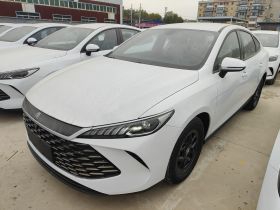 比亚迪 秦PLUS 2025款 DM-i 智驾版 55KM领先型