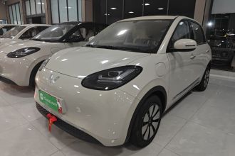 五菱汽车 五菱缤果 2024款 333km 悦享款