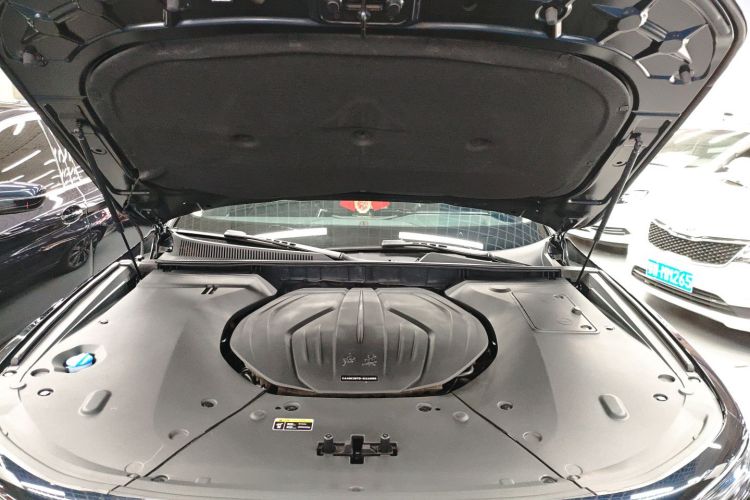 红旗H9 2024款 2.0T 旗畅 私享风尚版机舱底盘24