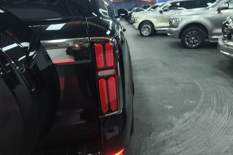 坦克500 2022款 3.0T 黑武士限定版 5座车身外观9