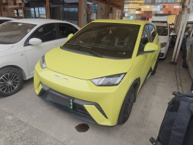 比亚迪 海鸥 2023款 活力版