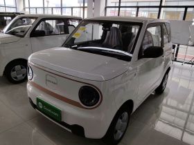 吉利银河 2024款 熊猫mini 200km 耐力熊