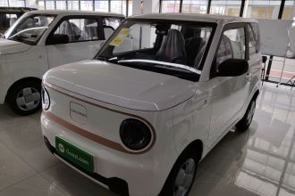 吉利银河 2024款 熊猫mini 200km 耐力熊
