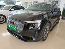 奥迪Q5 e-tron 2023款 40 e-tron 闪耀型 机甲套装